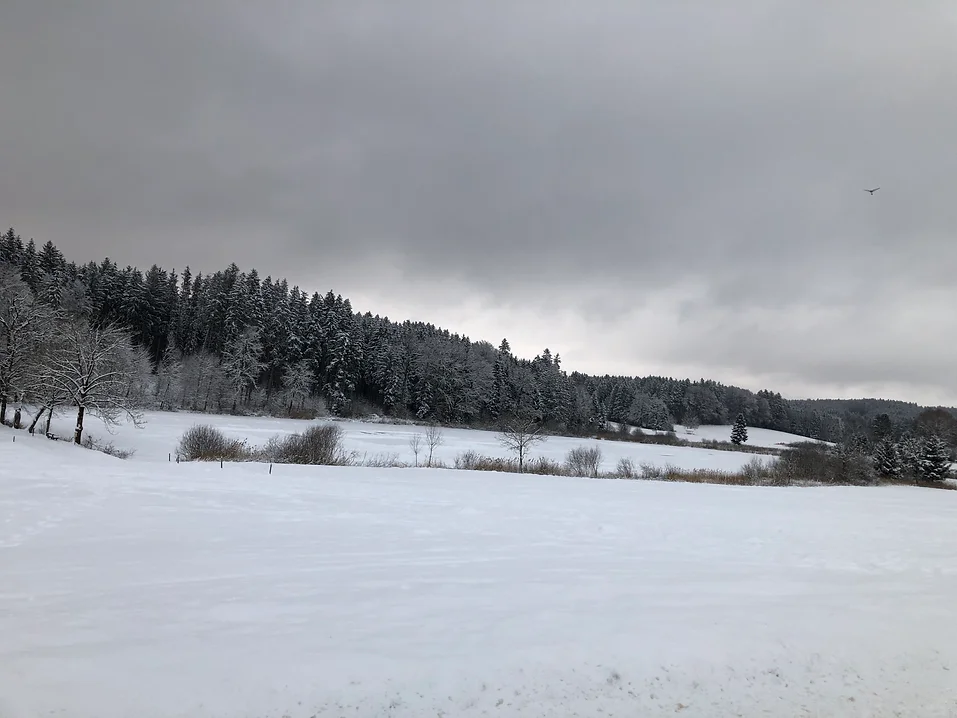 Zugefrorener Aufhofener Weiher