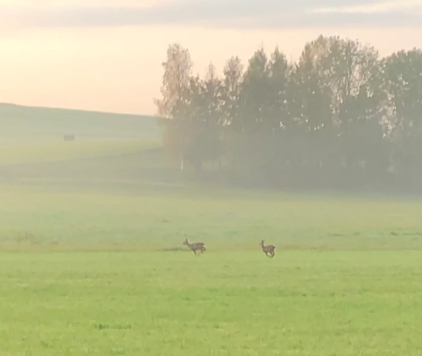 Aufhofen am frühen Morgen